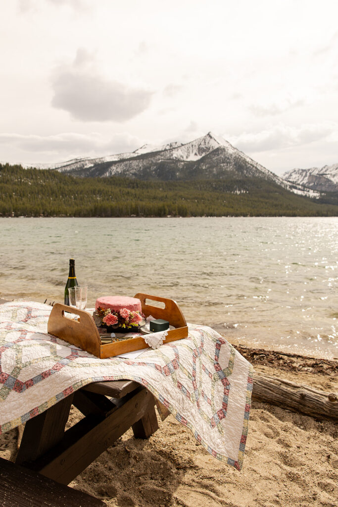 A pink wedding cake with a bottle of champagne sits on a quilt on a table at an elopement in Idaho